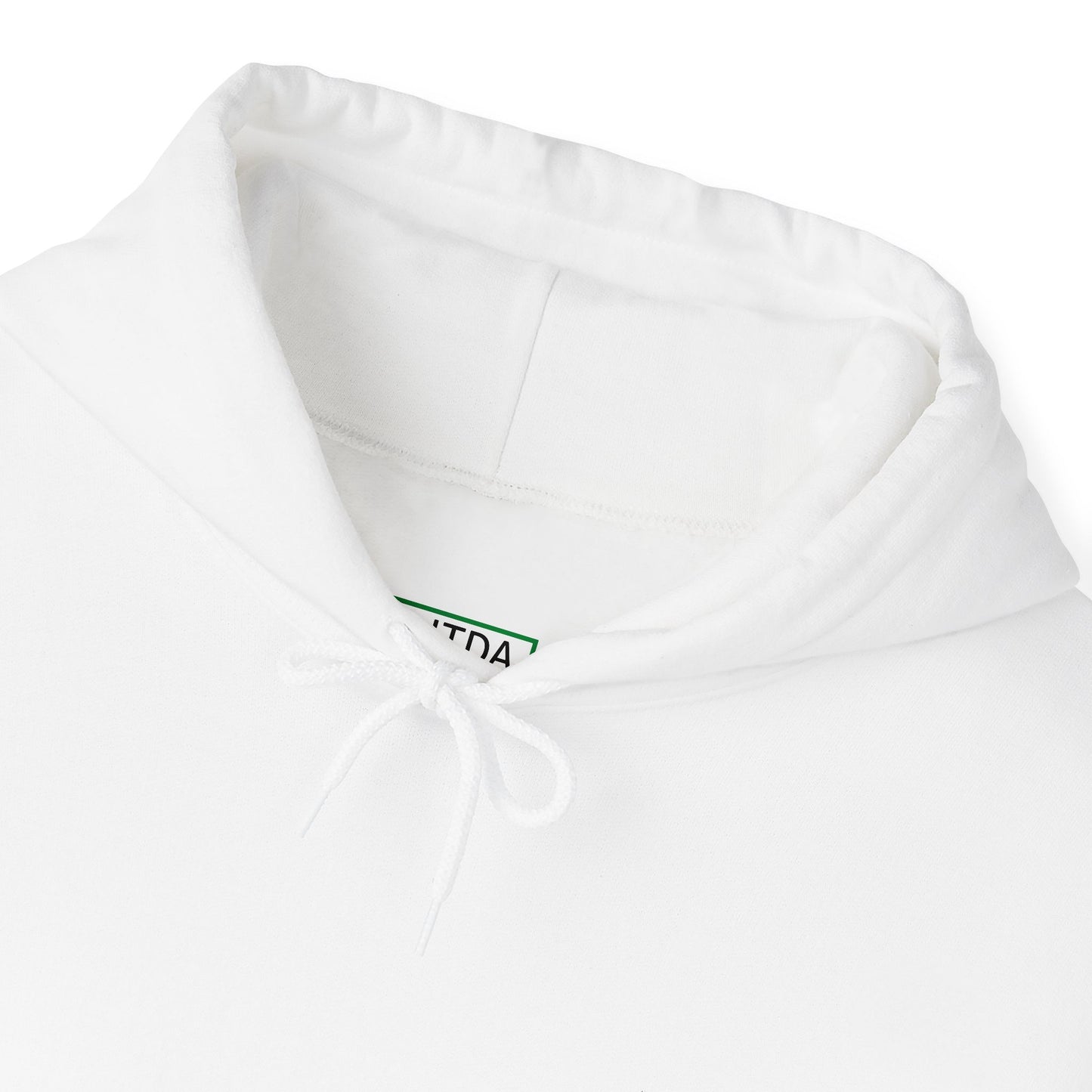 EBITDA EMBRODIRED HOODIE