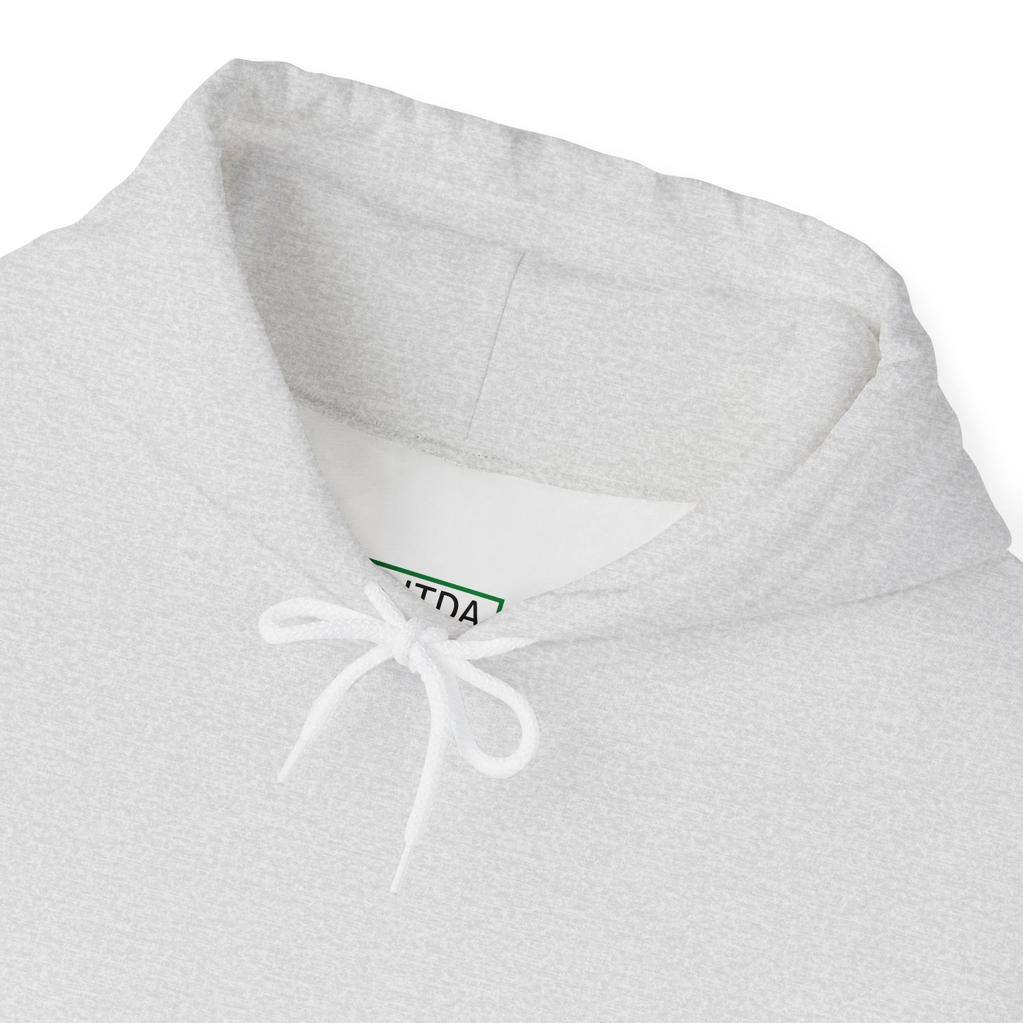 EBITDA EMBRODIRED HOODIE